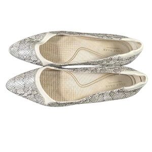 Cole Haan Grand Ambition Skimmer Viper Pointed Toe Ballet Flat Sz 8.5